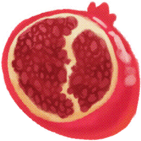 A drawing of a pomegranate, sliced open to expose its seeds and white flesh.